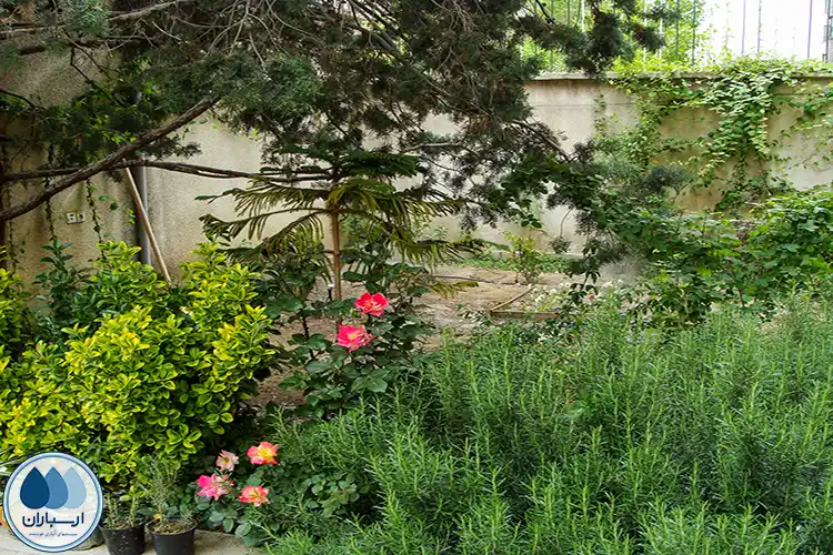 طراحی و اجرای آبیاری قطره‌ای باغچه‌های یک منزل مسکونی در امیر آباد